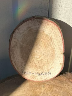 Spalted Maple